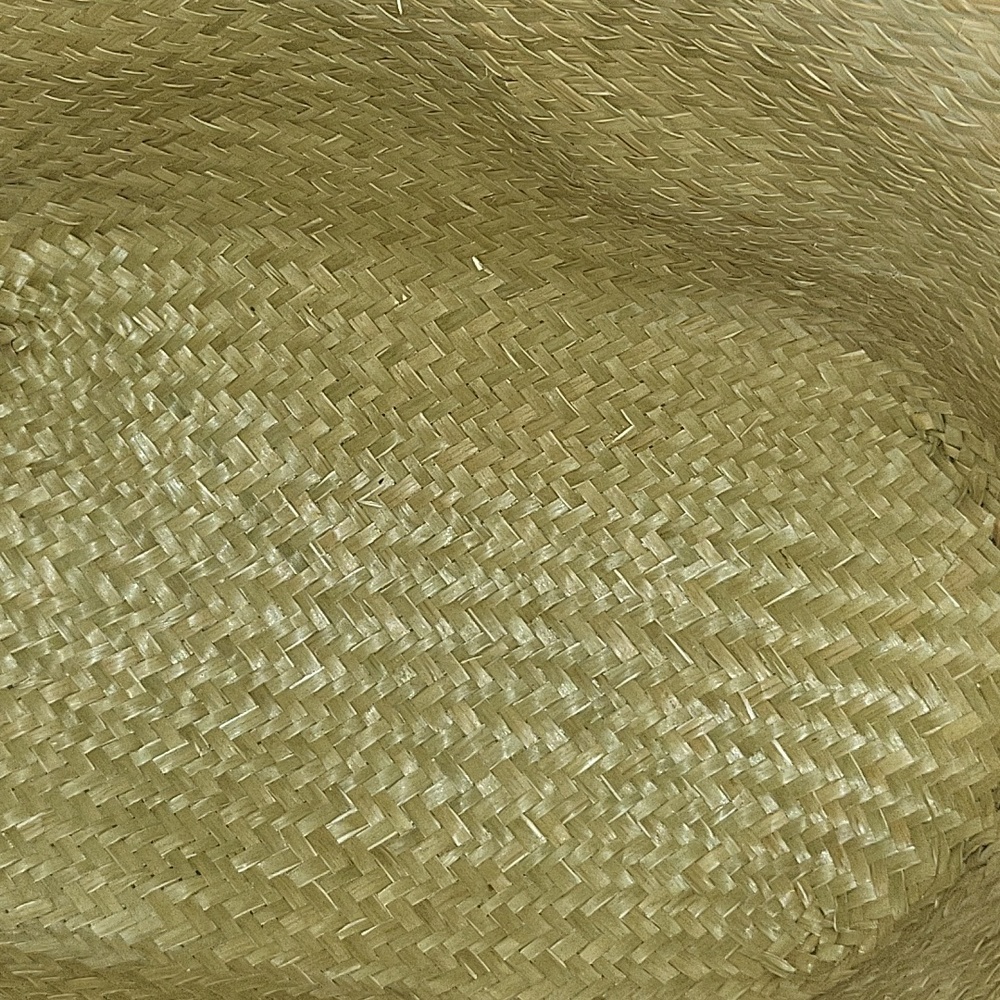 Straw Studio Bag - Picture 3 of 7